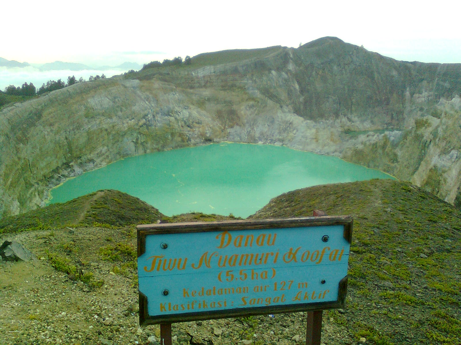 Капибары: Что стоит на их меню?