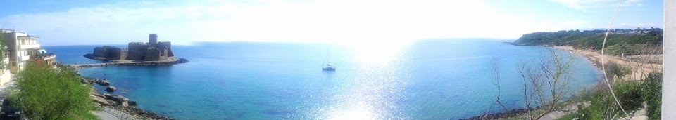 Звуки, которые любят коты: что они значат и как их использовать