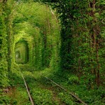 Тоннель любви, Клевань, Украина