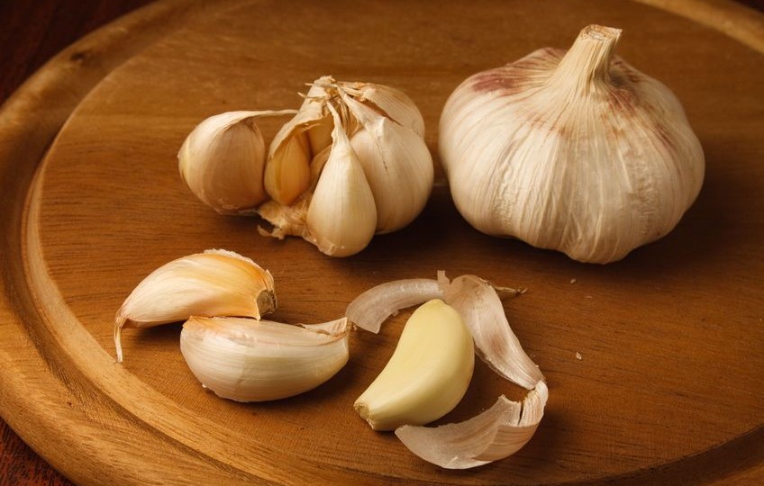 Двадцатидвухточечная коровка: Защитник сада и символ удачи