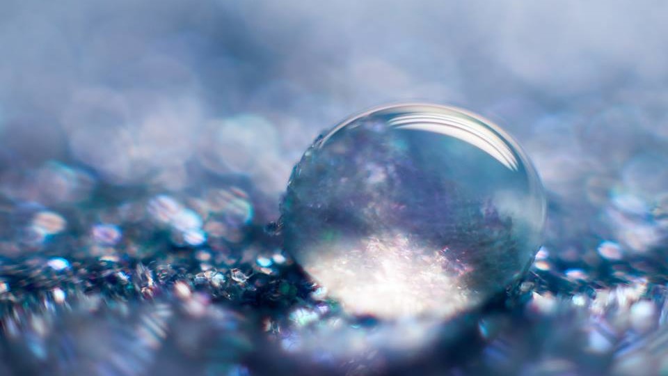 Паук акантоскурия геникулята: очарование и острые ощущения в мире пауков