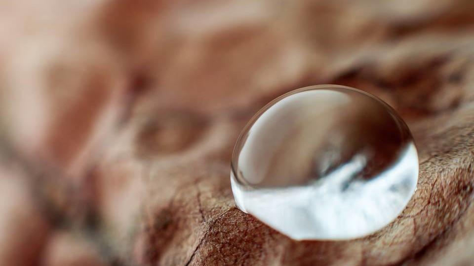 Как поменять данные паспорта на Мос.ру: пошаговая инструкция