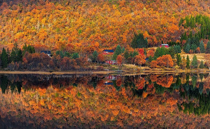 Трепанг: загадочный обитатель глубин океана