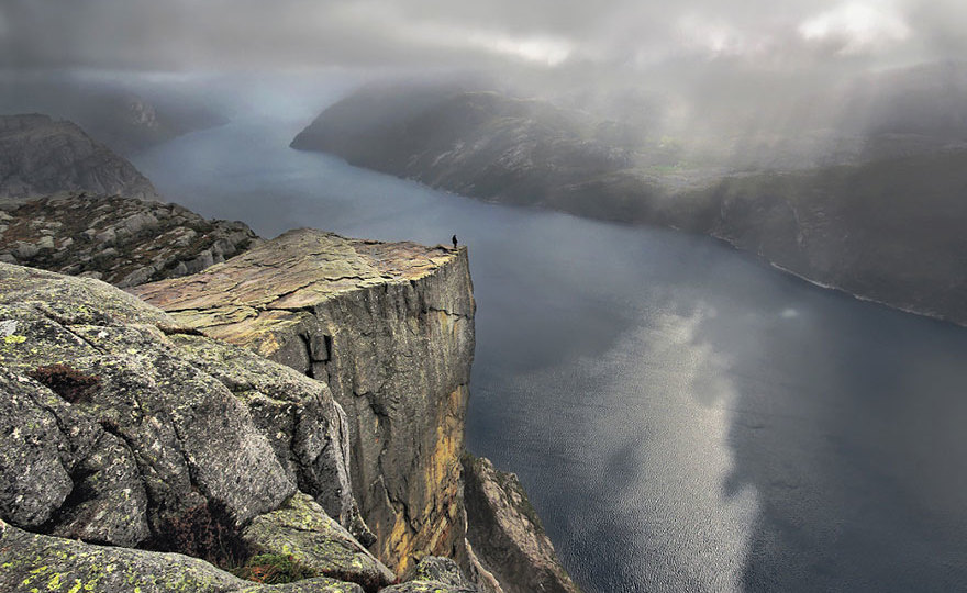 Кембриджский паук: не просто восьминогий житель, а истинный хит сезона!