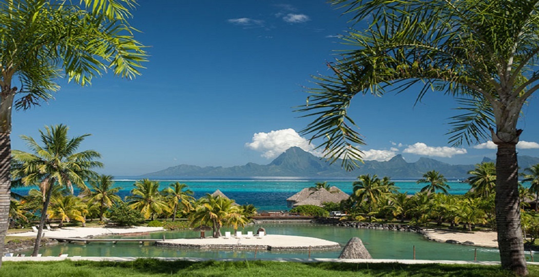 Рецепт подливы из говяжьей печени как в столовой: ностальгия по вкусам детства