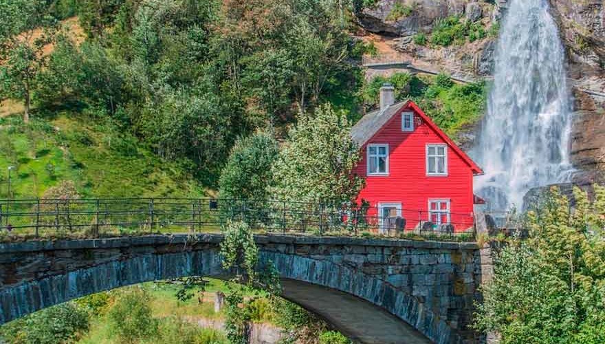 Какой лучше сыр для сырного супа