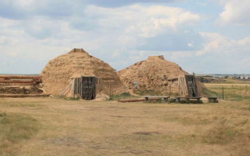 Удивительный мир Brachypelma albiceps: Зеленые глаза и пушистая шерсть