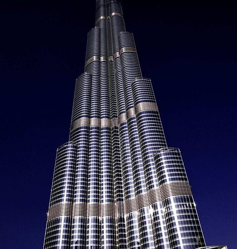 Как приучить кота ходить на улицу в туалет