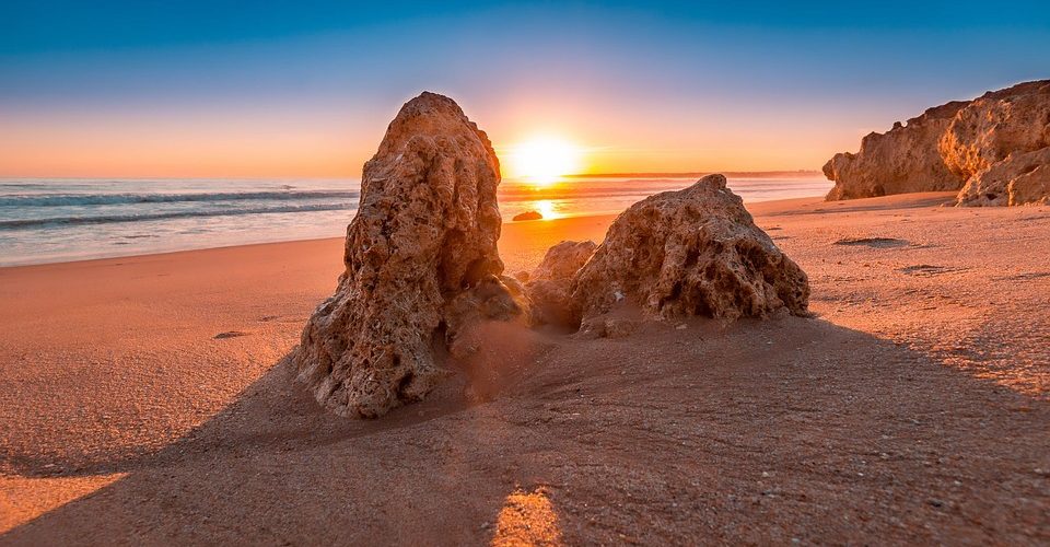 Зайкина Избушка: Уютный Уголок Леса и Его Обитатели