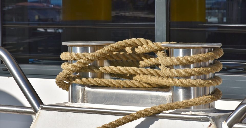 Зимородок: Яркое Чудо Природы, Которое Поражает Воображение