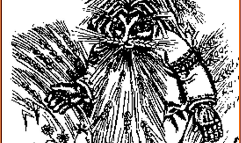 Красная книга Иркутской области: хранилище уникальных природных сокровищ