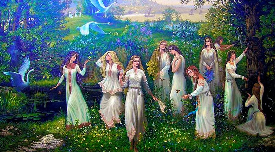 Варан макрея: Древний Хищник или Мудрый Стратег?