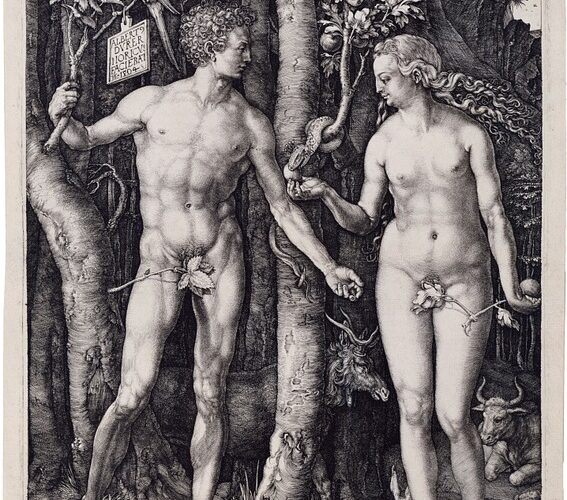 Дикдики: мелкие антилопы с большим характером