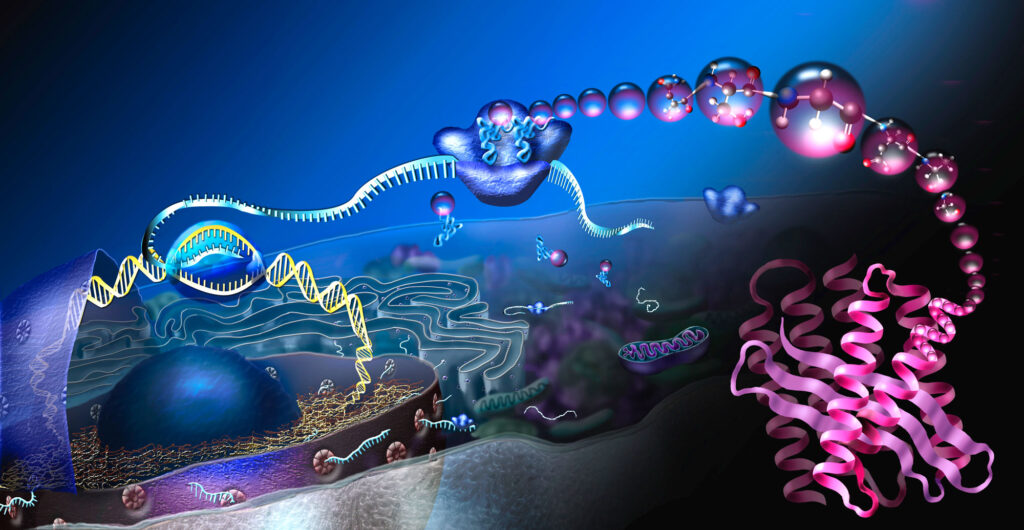 Жизнь могла возникнуть из смеси РНК и ДНК