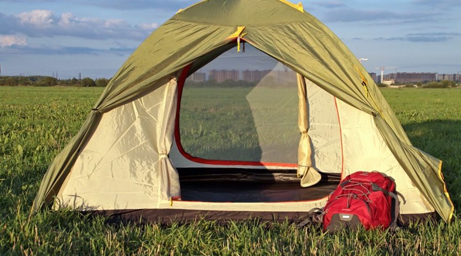 Утка Гага: Удивительный Мировой Грузчик и Её Жизнь на Воде