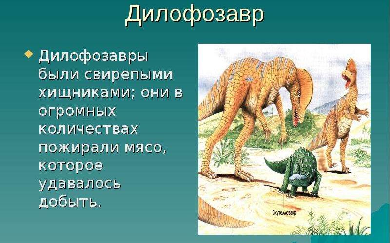 Куда уходит серая жаба: загадки зимовки наших маленьких друзей