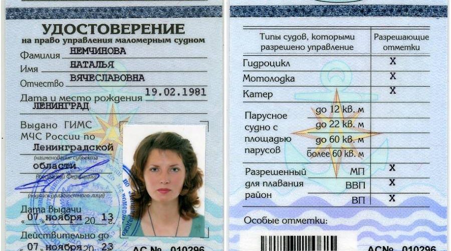 Курица: удивительное создание, которое мы недооценили