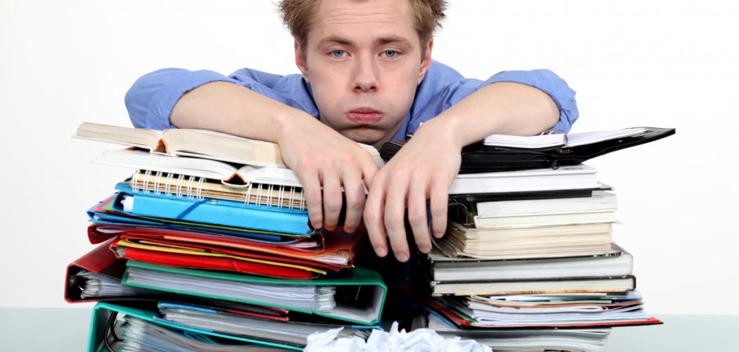 Забавный мир млекопитающих: удивительные примеры и факты