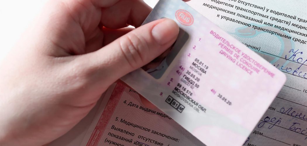 Красноголовый таракан: необычный питомец или опасный сосед?