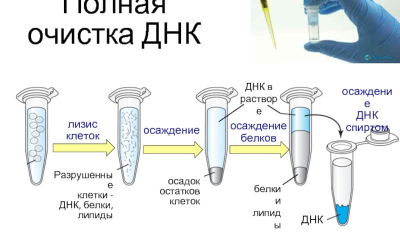 Как на фото определить право и лево: простые и эффективные методы