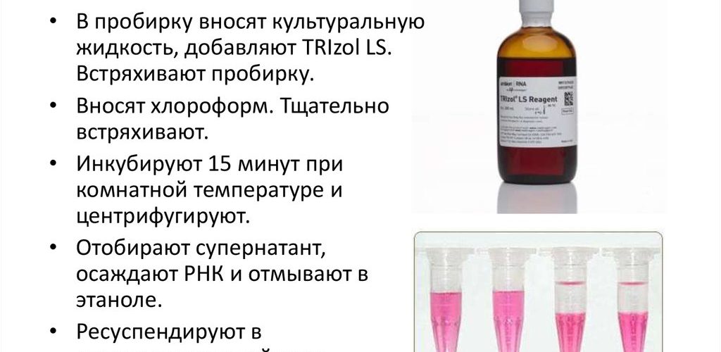 Дюгонь: Тайна морских травоядных и их мир