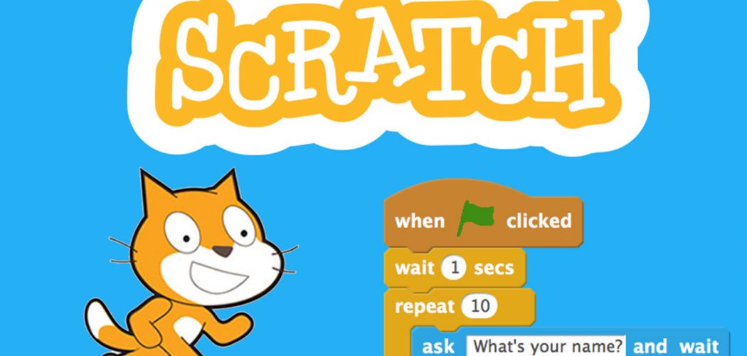 Удивительный мир немых пернатых: какие птицы не летают?