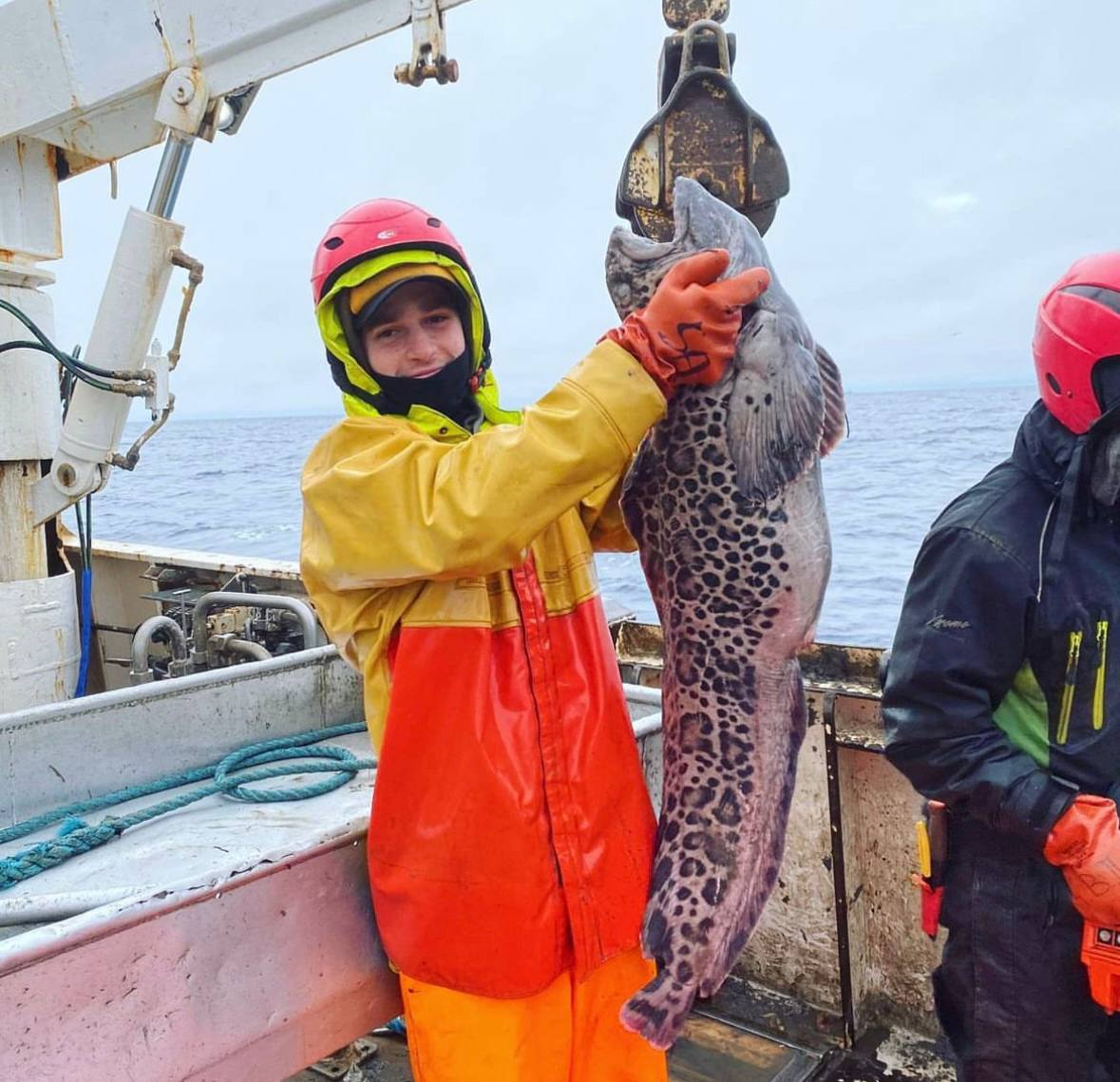 Александр Пиксар краболов