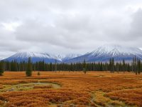 Камчатка: путеводитель по земле вулканов, медведей и горячих источников